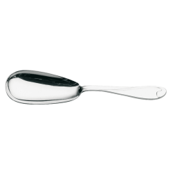cucchiaio inox servire risotti
