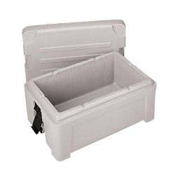 Insulated carrier